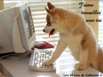 mdrrrrrrrrrrrr! çà me rappelle.... quelquechose çà!  trop mignon!!